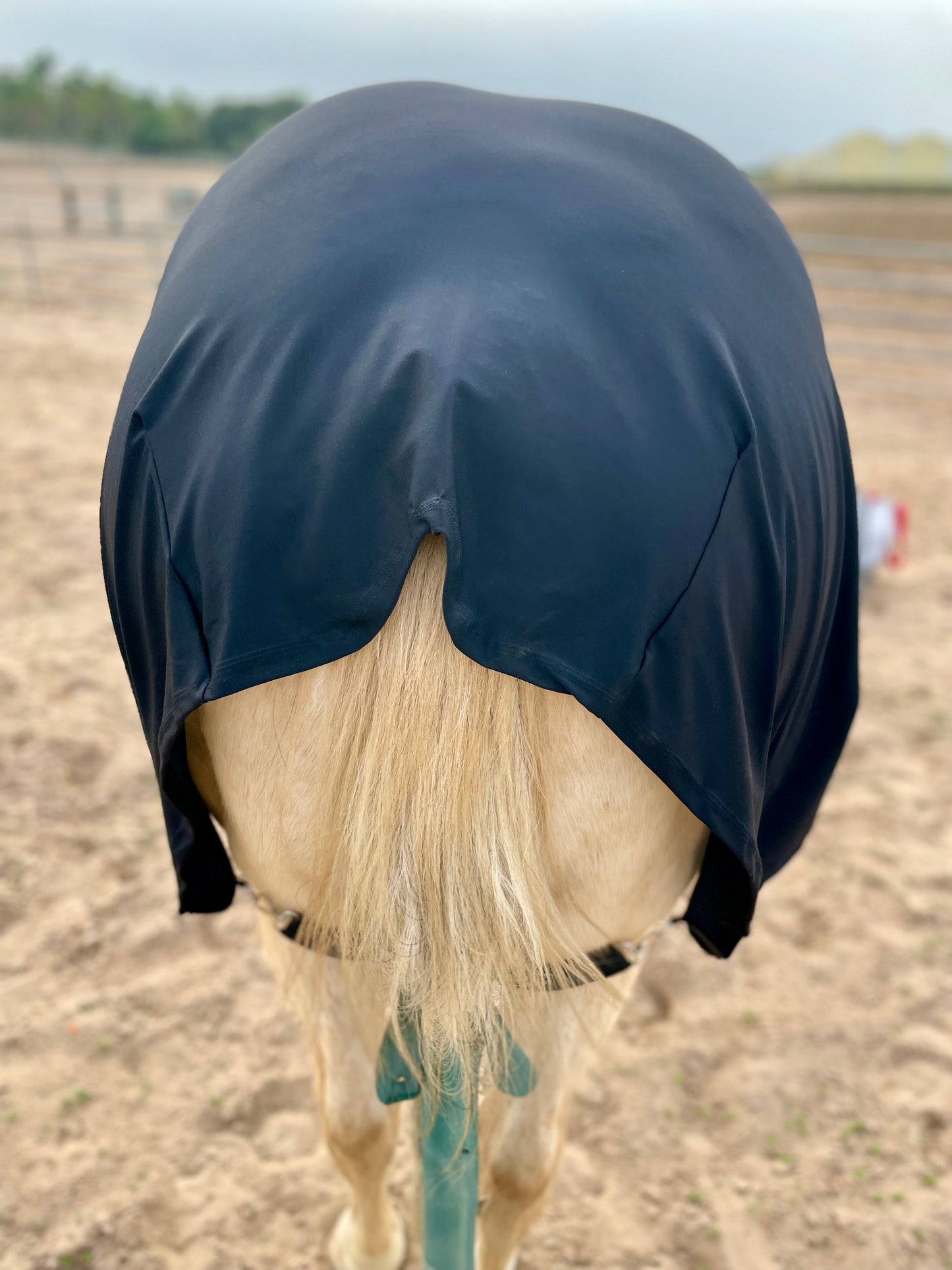 Black SuperFlex Compression Faceless Full Body Sleazy