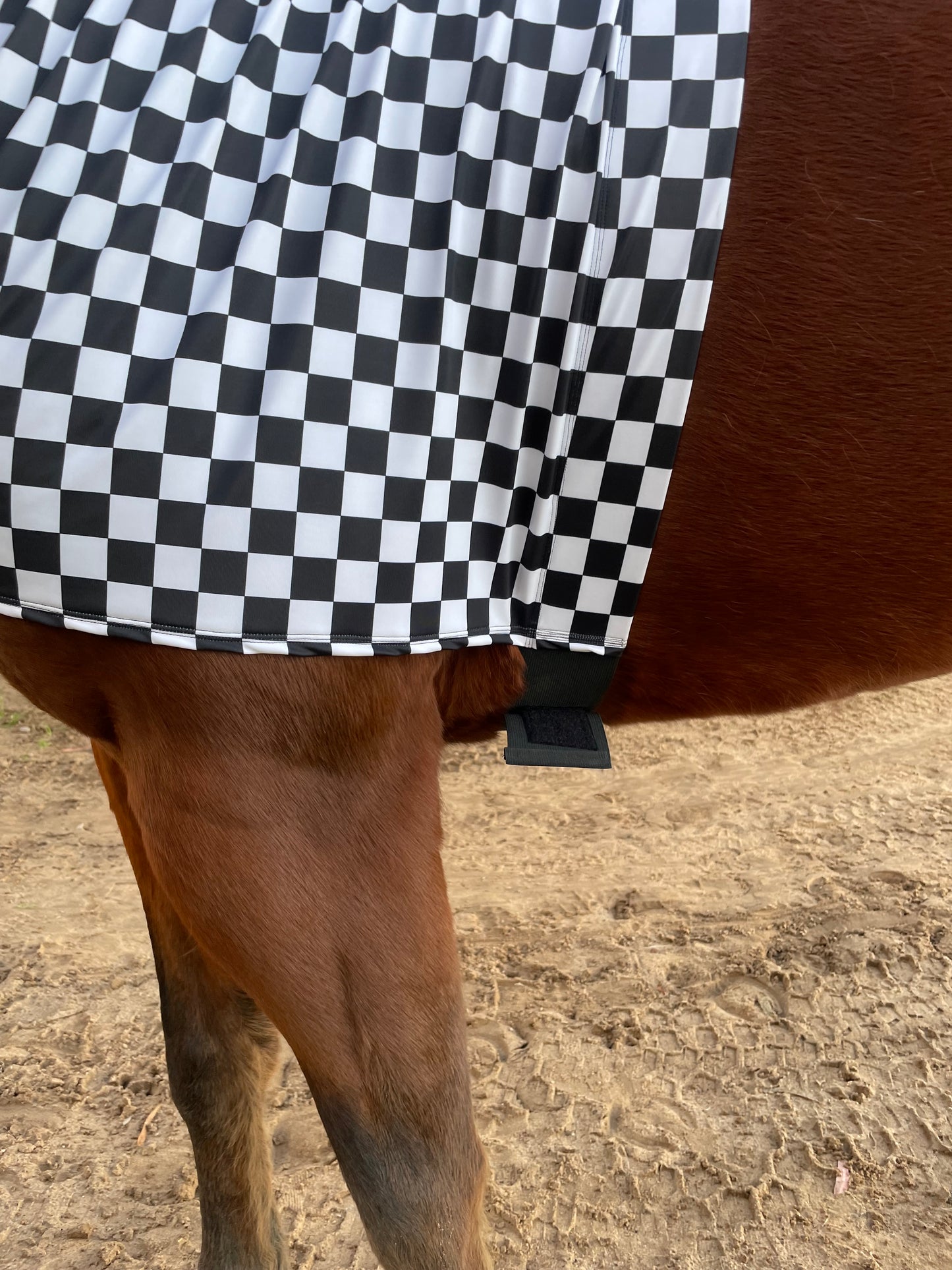Checkered Sleazy Hood