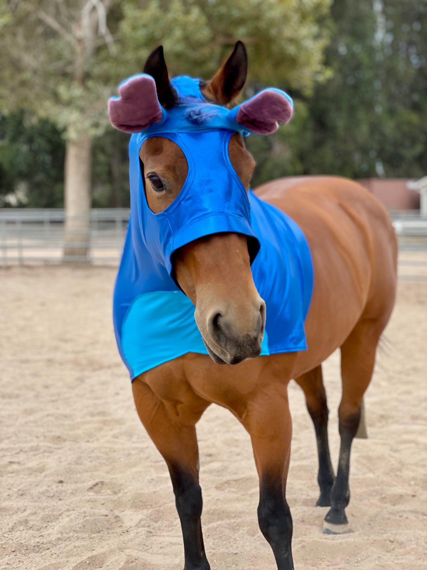Stitch Horse Costume