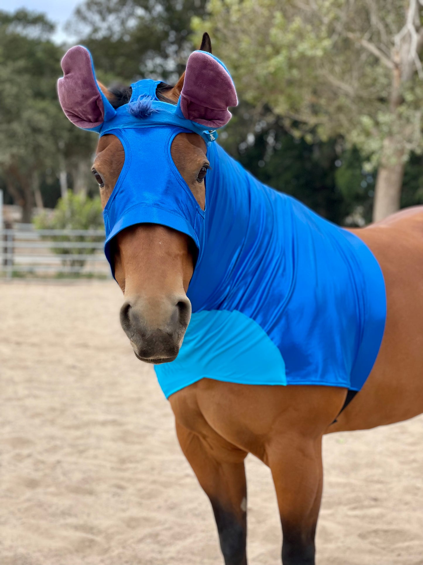 Stitch Horse Costume