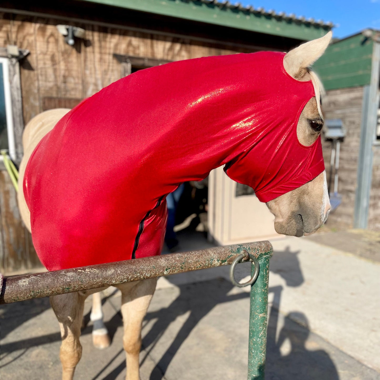 Metallic Red Sleazy Hood