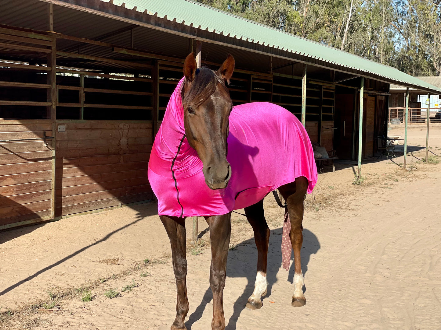 Metallic Hot Pink Faceless Full Body Sleazy
