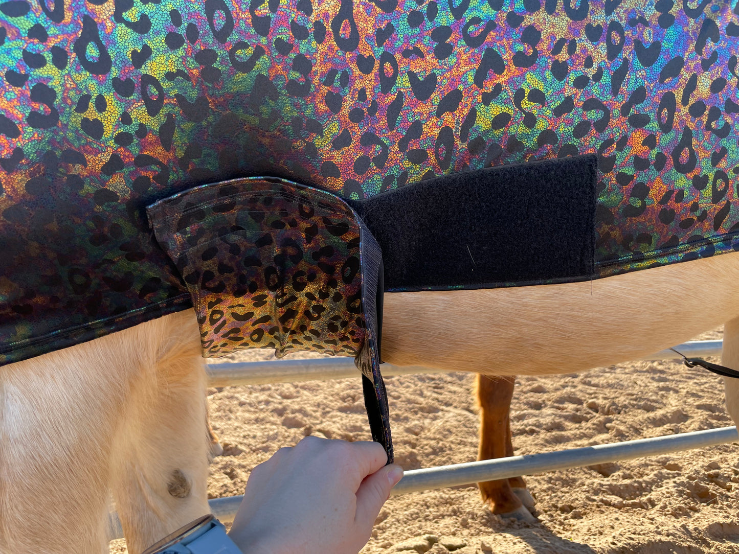 Hologram Leopard Faceless Full Body Sleazy