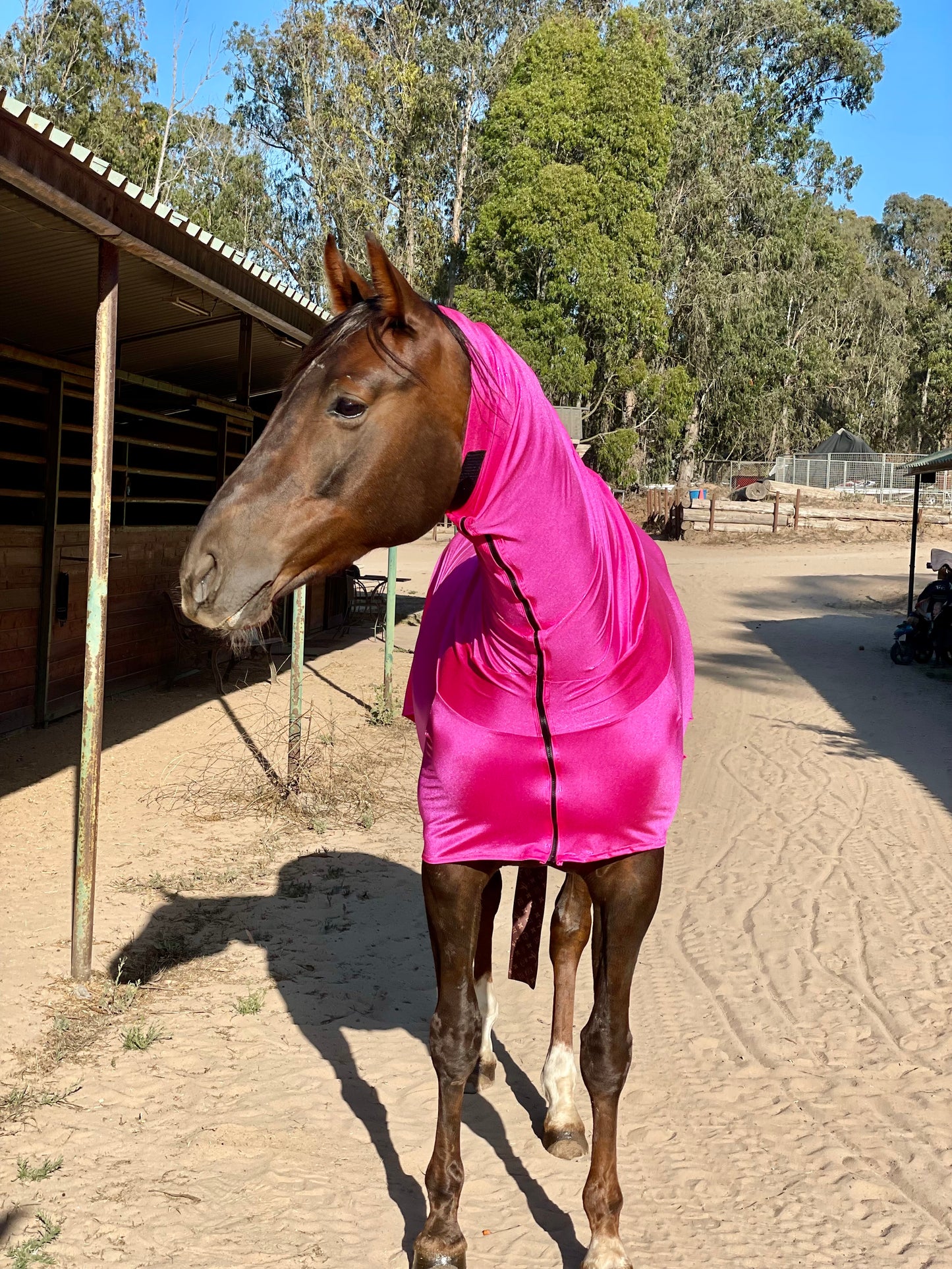 Metallic Hot Pink Faceless Full Body Sleazy