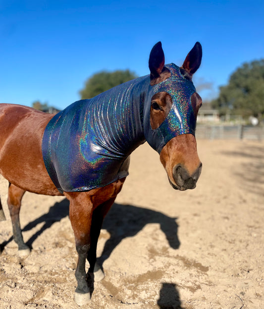 Hologram Black Sleazy Hood