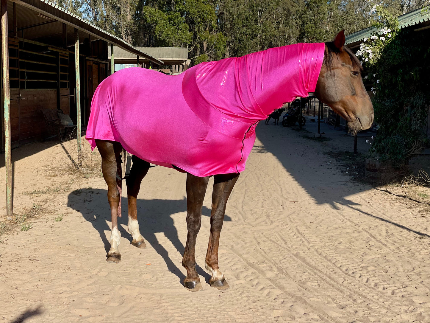 Metallic Hot Pink Faceless Full Body Sleazy