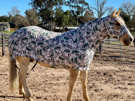 Money Full Body Sleazy