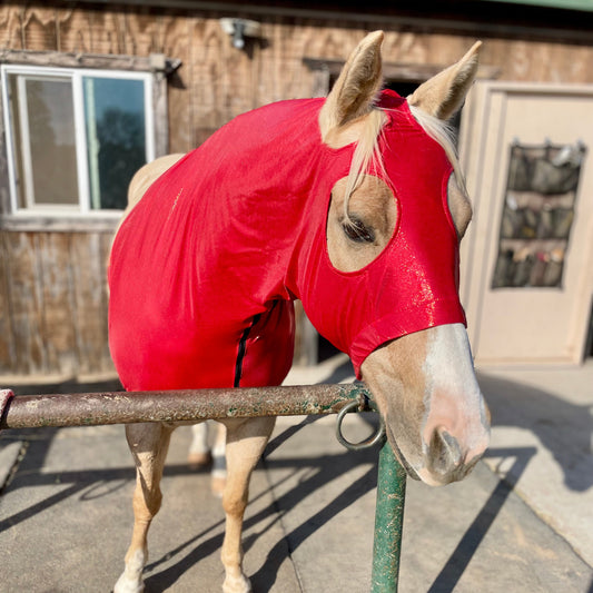 Metallic Red Sleazy Hood