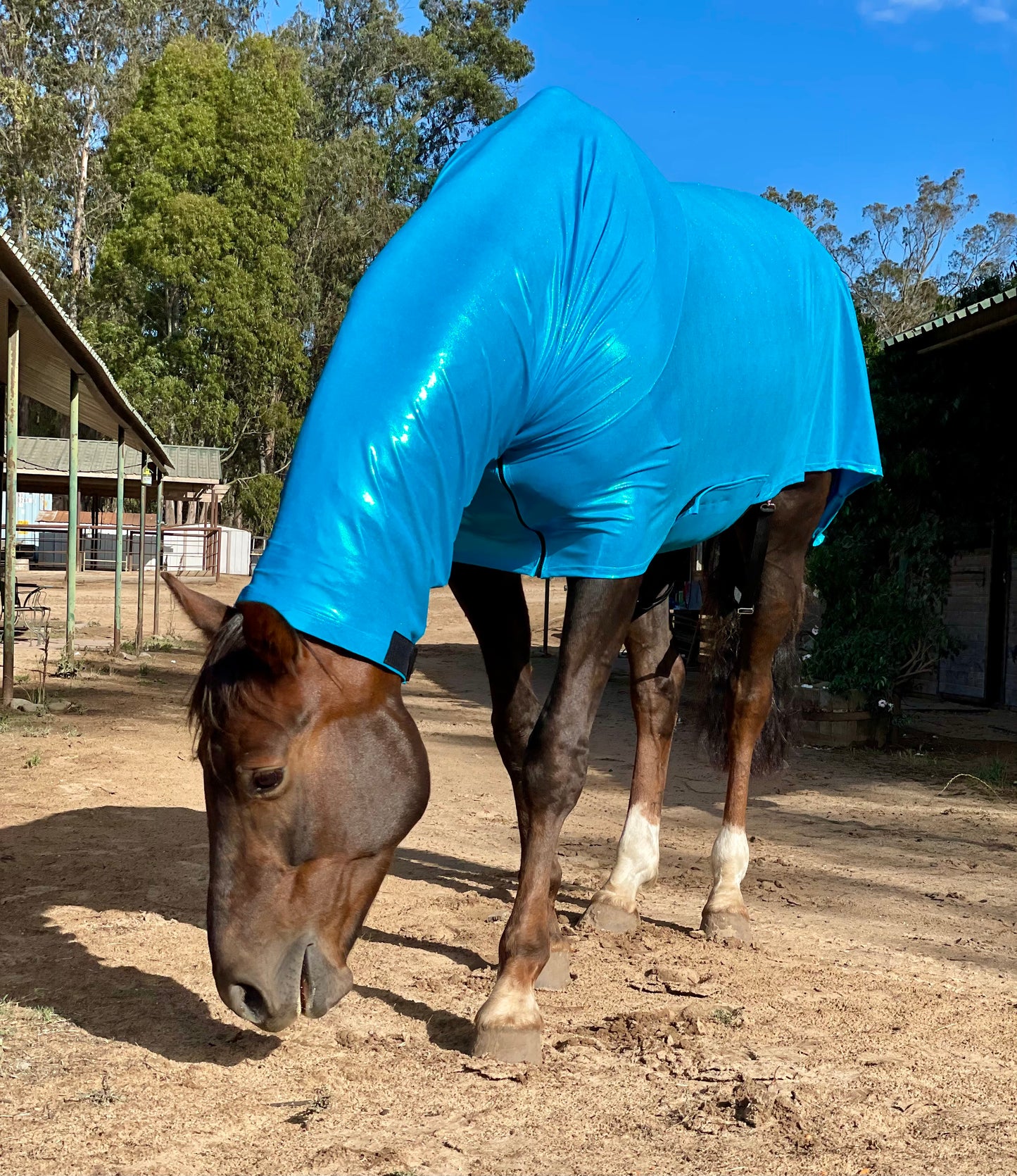 Metallic Turquoise Faceless Full Body Sleazy