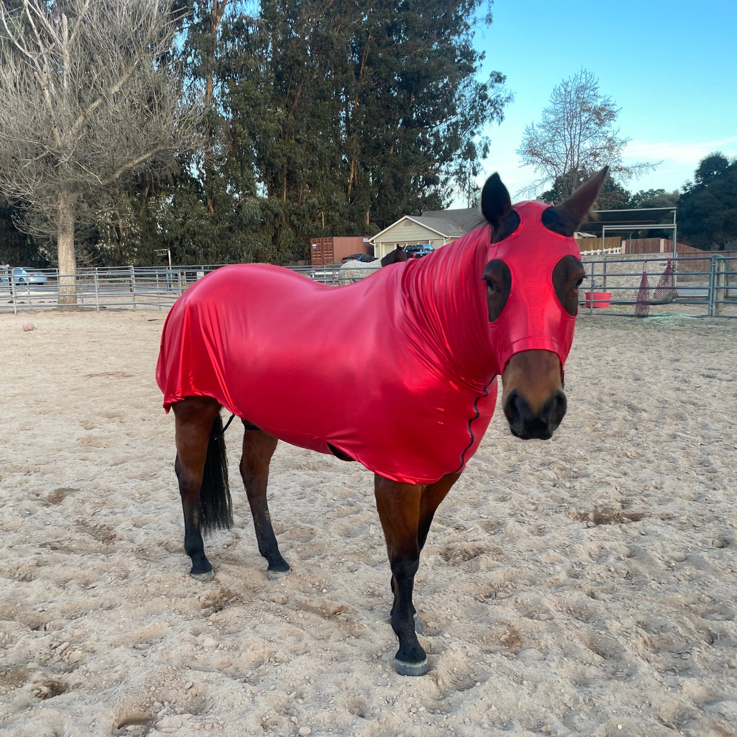 Metallic Red Full Body Sleazy