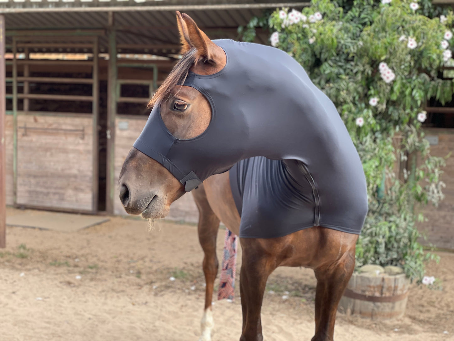 Black SuperFlex Compression Sleazy Hood