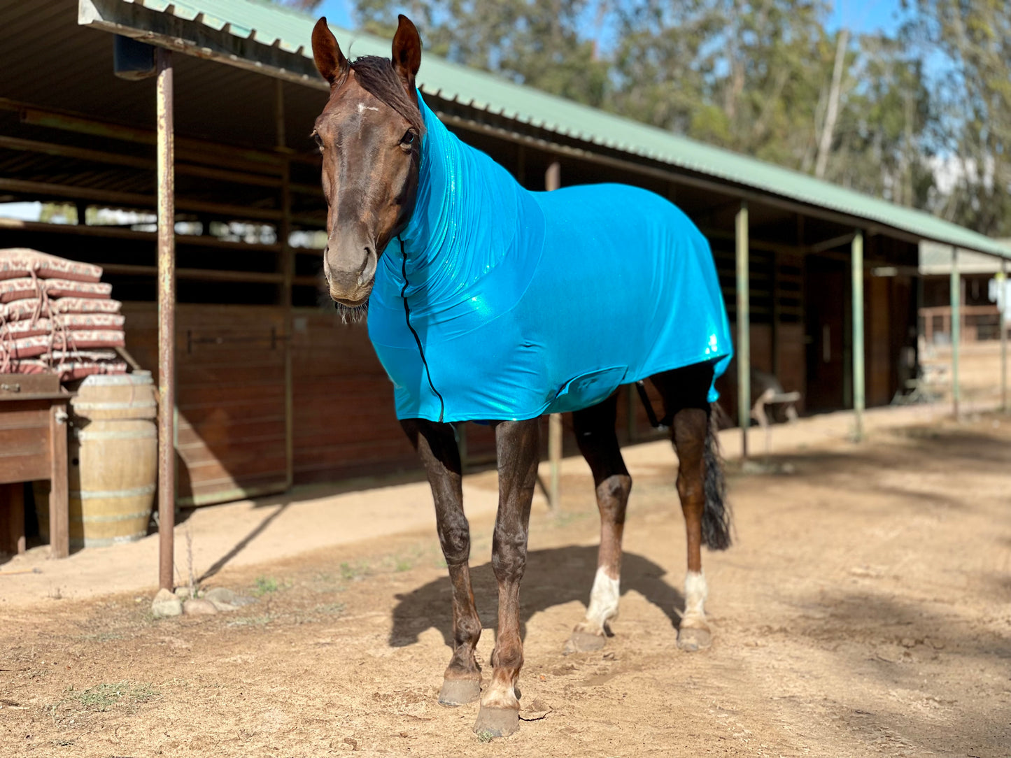 Metallic Turquoise Faceless Full Body Sleazy