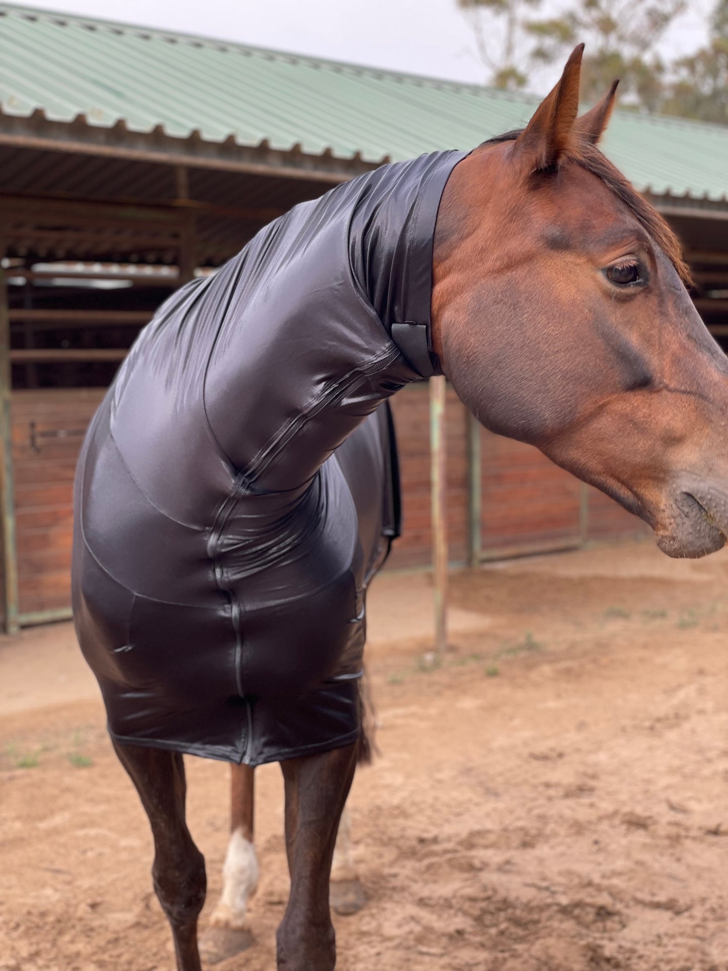Metallic Black Faceless Full Body Sleazy