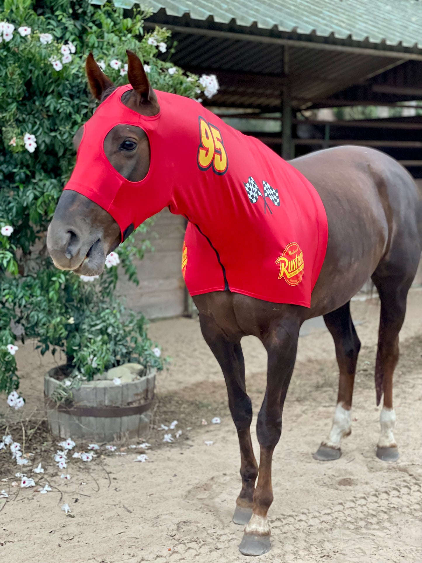 Lightening McQueen Race Car Horse Costume