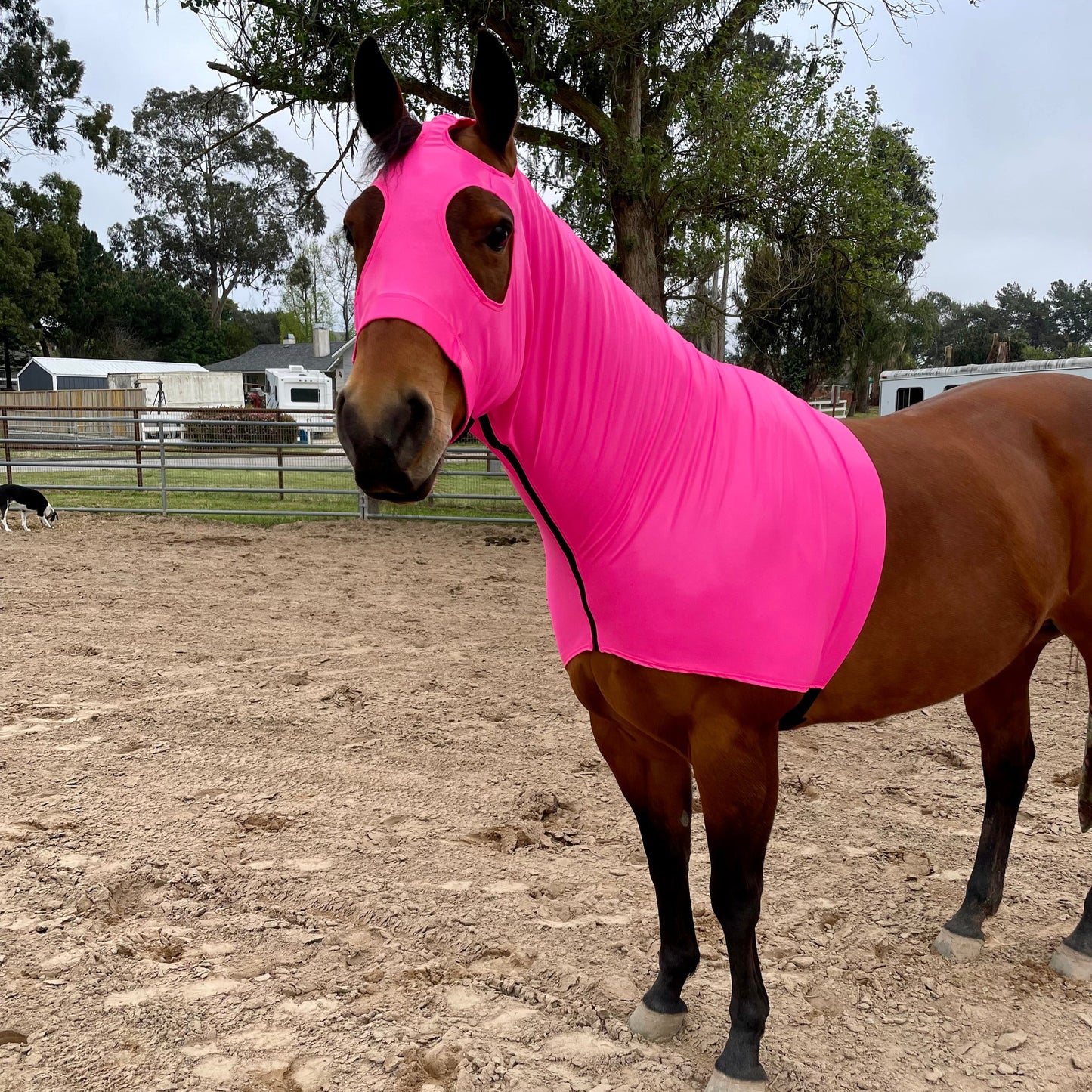 Metallic Hot Pink Sleazy Hood