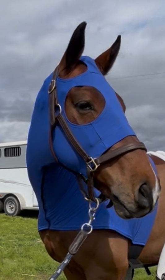 Royal Blue Sleazy Hood