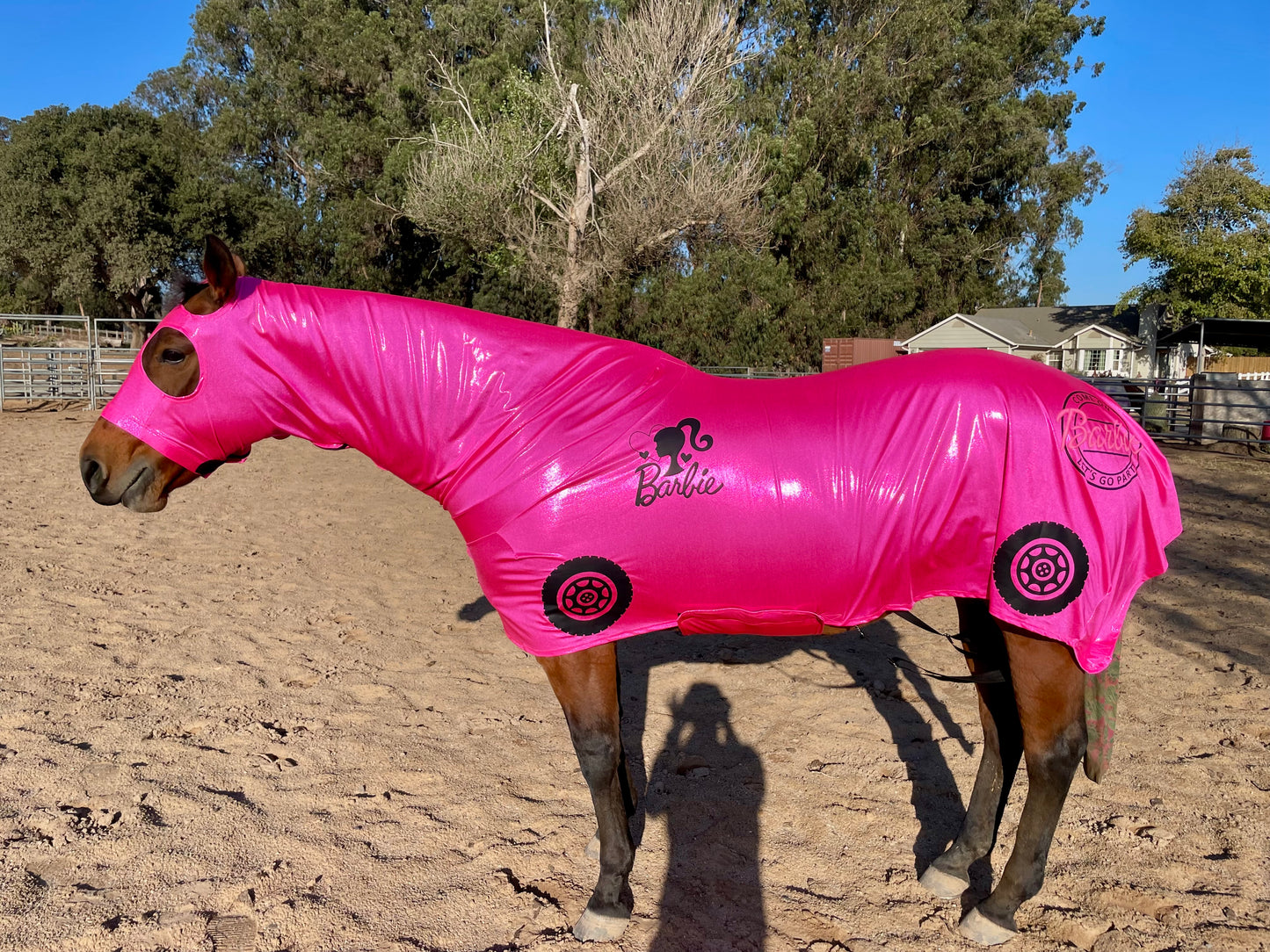Barbie Car Horse Costume