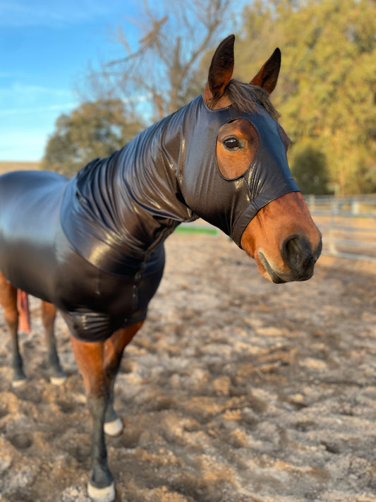 Metallic Black Full Body Sleazy