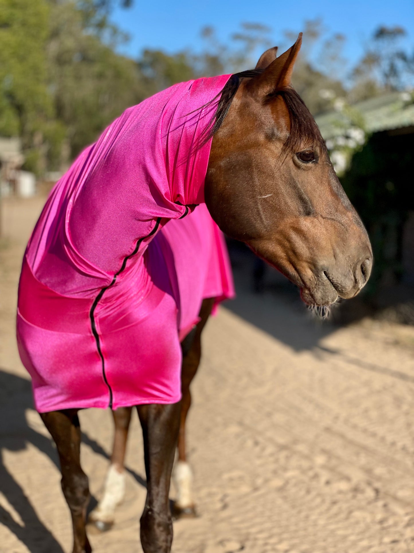 Metallic Hot Pink Faceless Full Body Sleazy