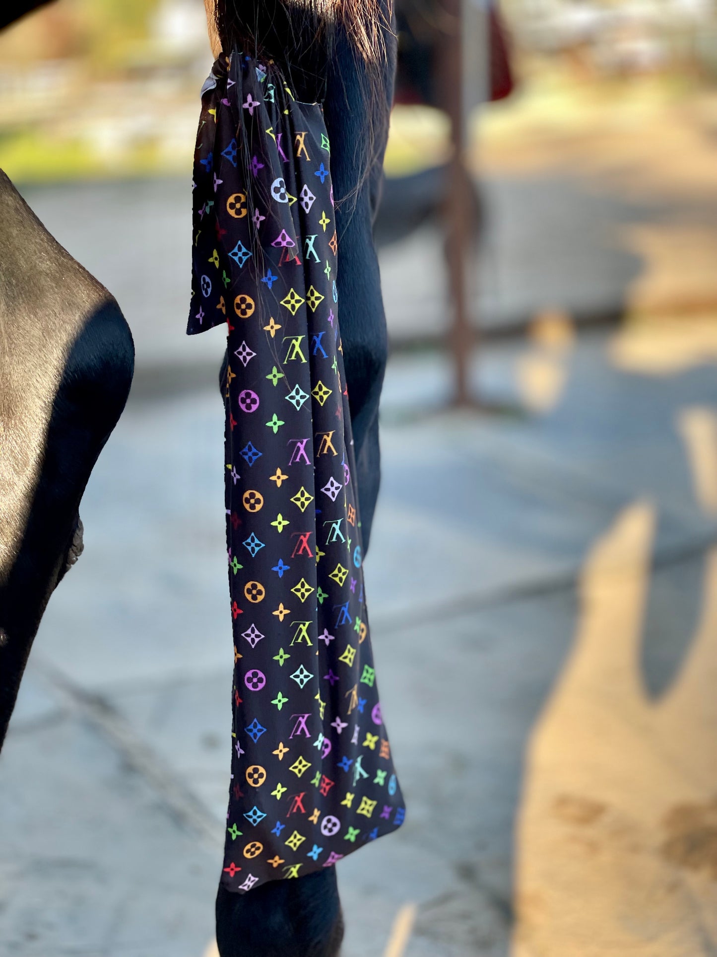 LV in Color Tailbag