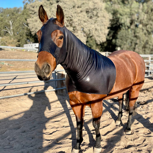 Metallic Black Sleazy Hood