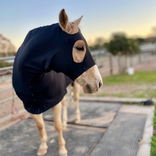 Black SuperFlex Compression Full Body Sleazy