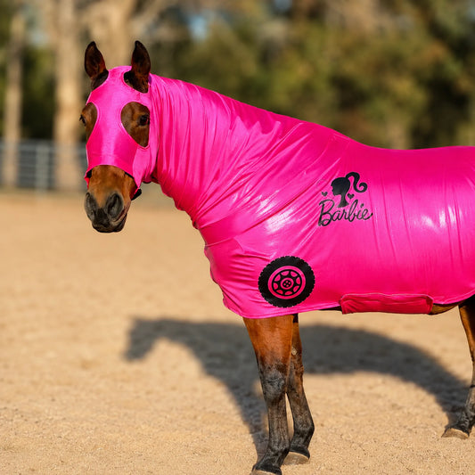 Horse wearing a bright pink Barbie-themed costume in an outdoor setting.