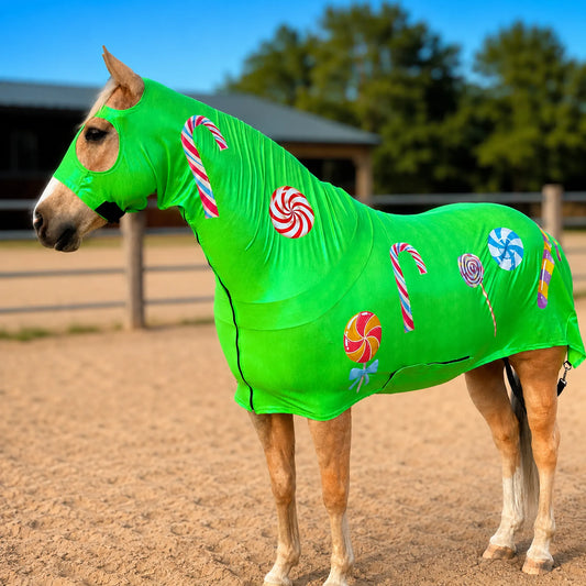 Horse wearing a metallic green candy full body costume sleazy with candy cane and lollipop patterns in an outdoor setting.