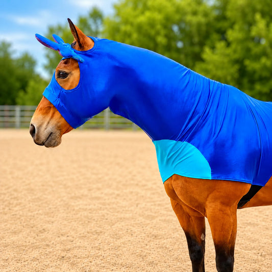 Horse wearing a blue stitch horse costume in an outdoor setting with trees in the background