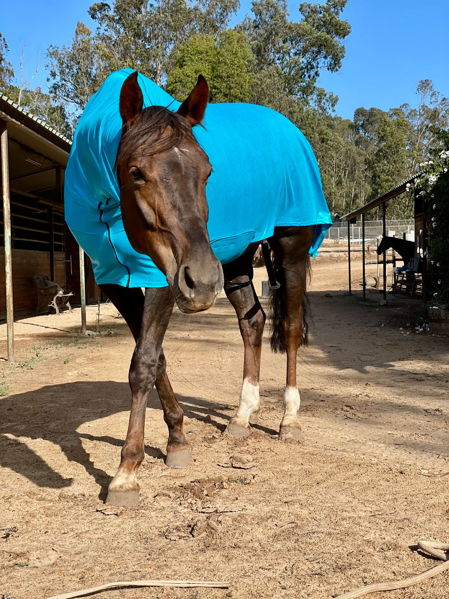 Metallic Turquoise Faceless Full Body Sleazy
