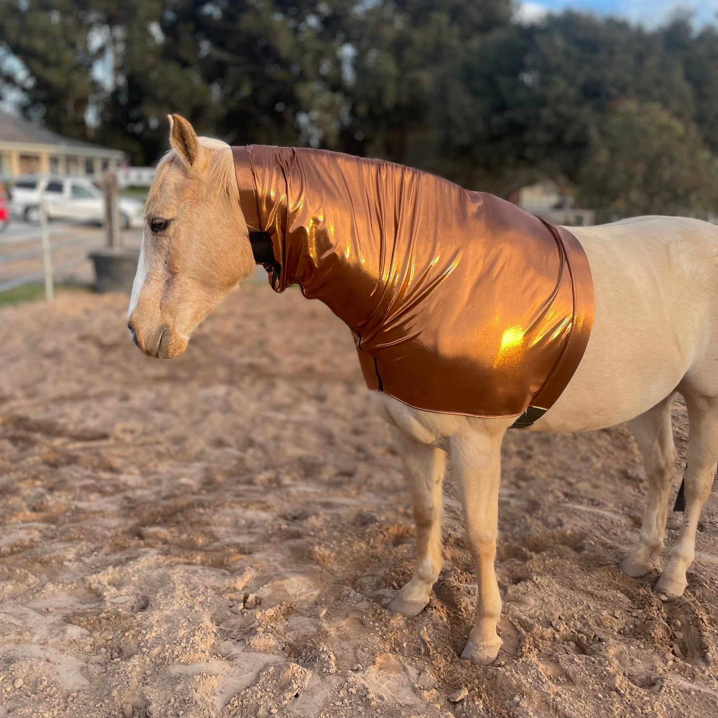 Metallic Copper Faceless Sleazy Hood