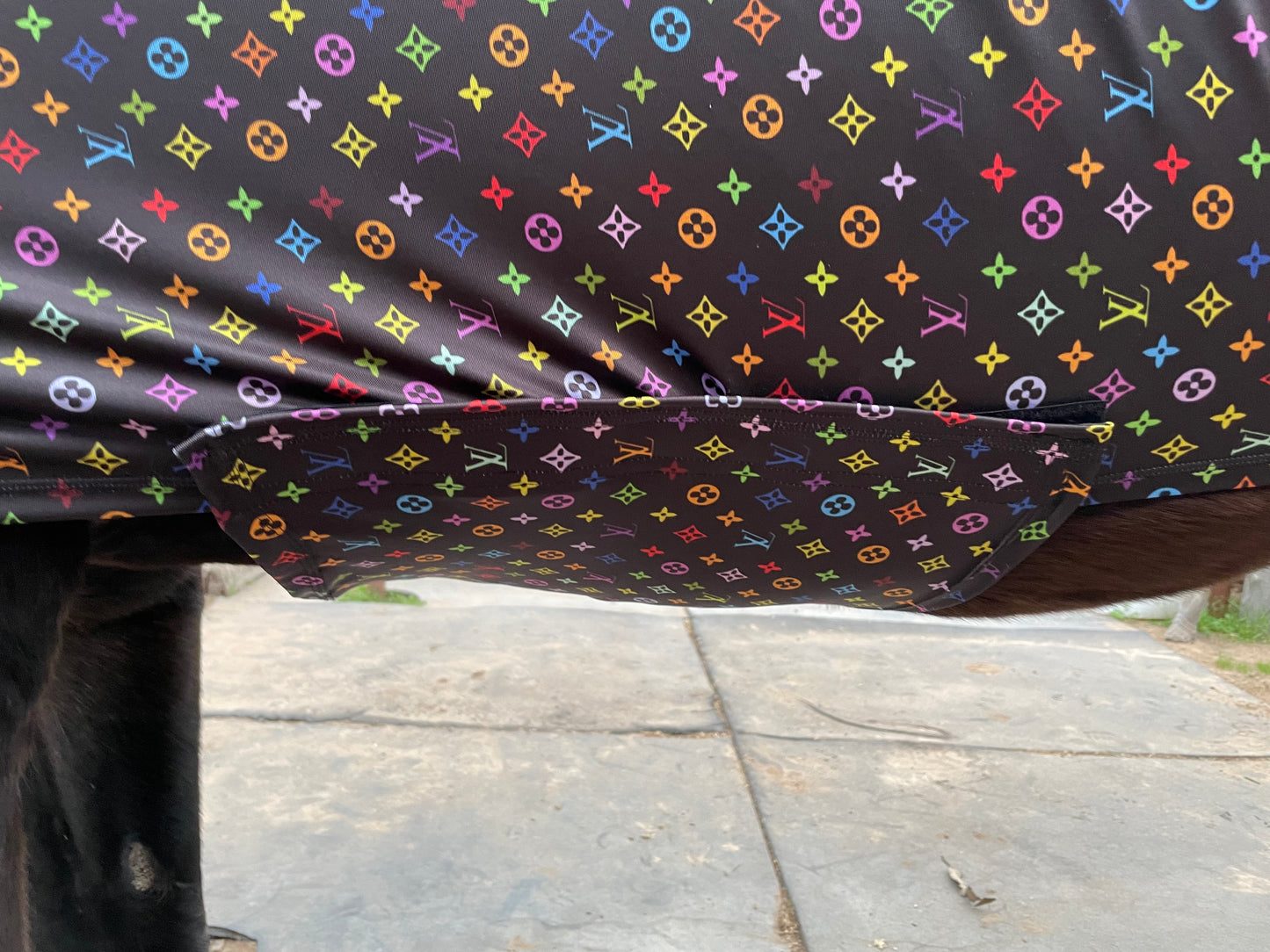 LV in Color Full Body Sleazy