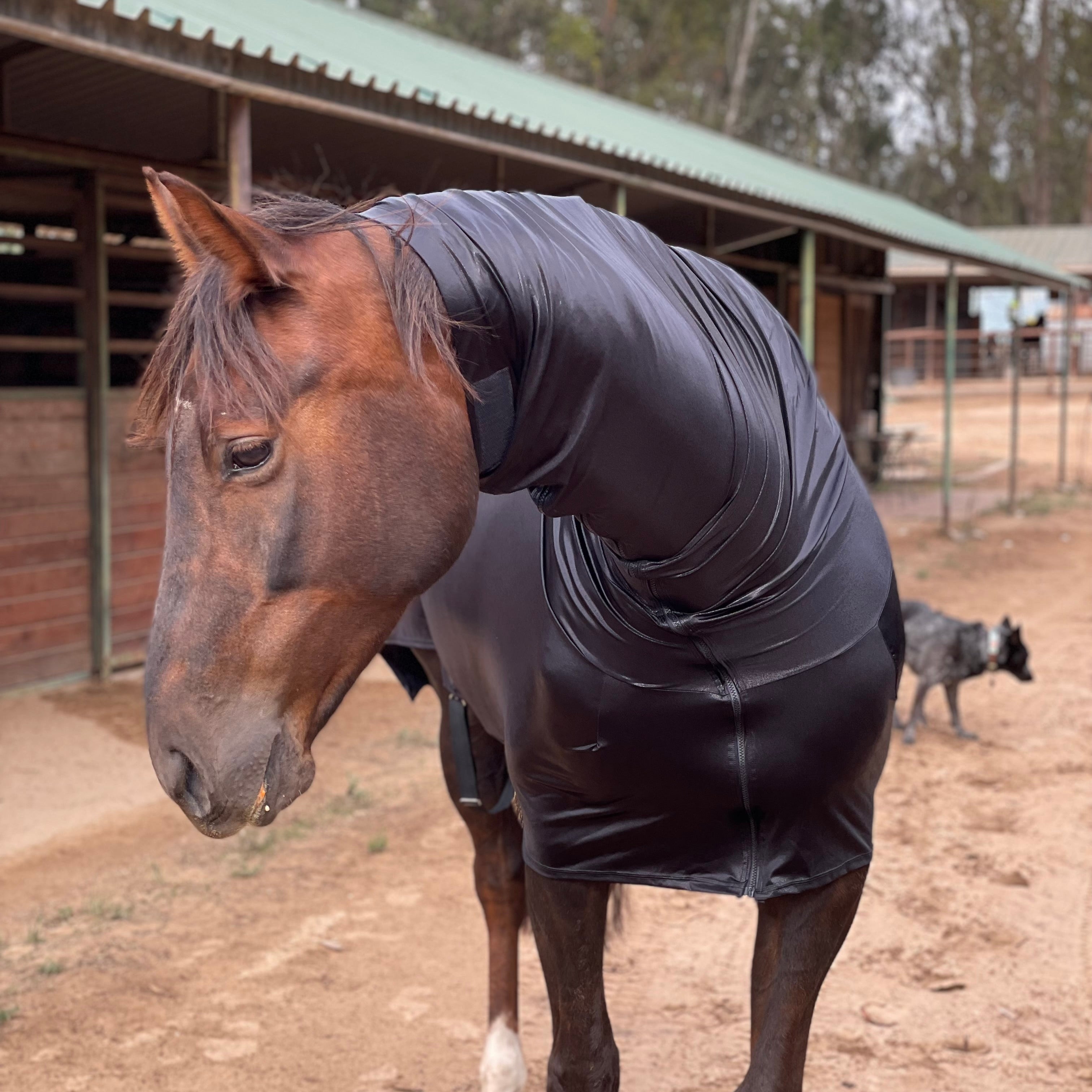 Couverture séchante Horseware Thermal polaire équitation, 95,96