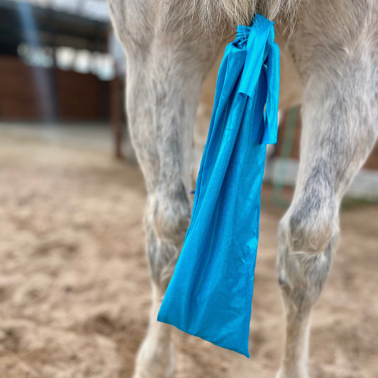 Metallic Turquoise Tailbag