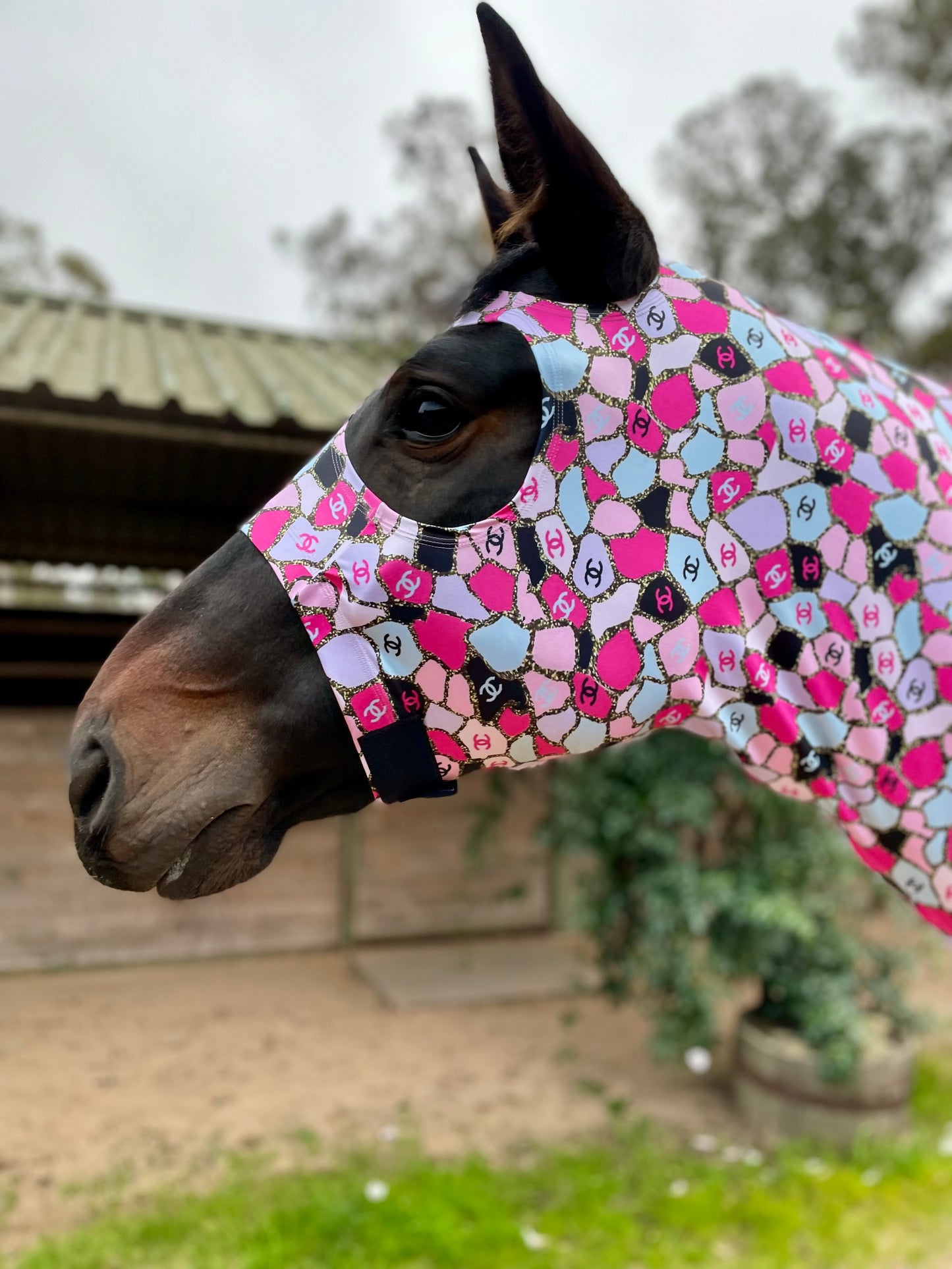 Coco Pink Hood Sleazy