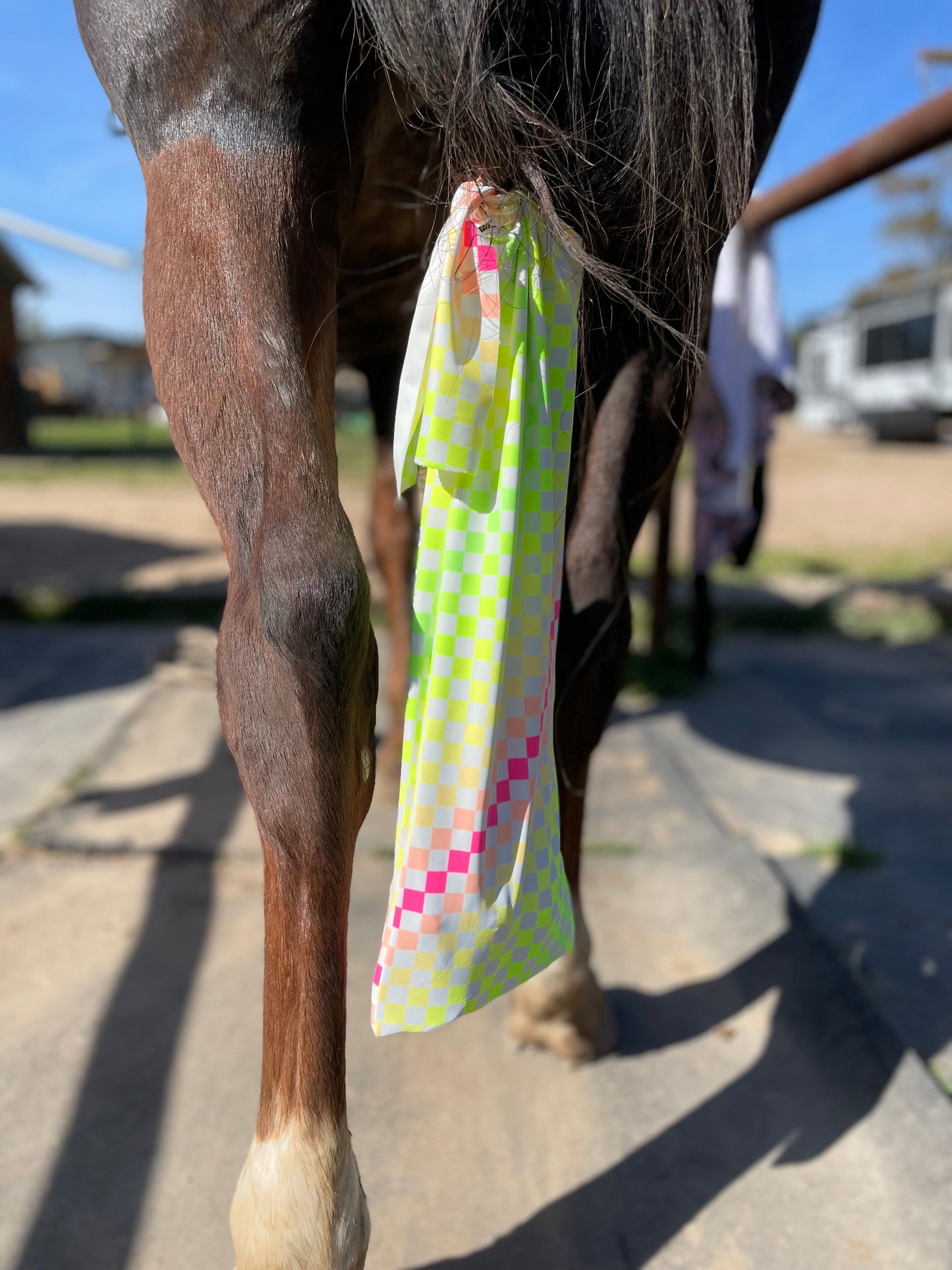 Neon Checkered Tailbag
