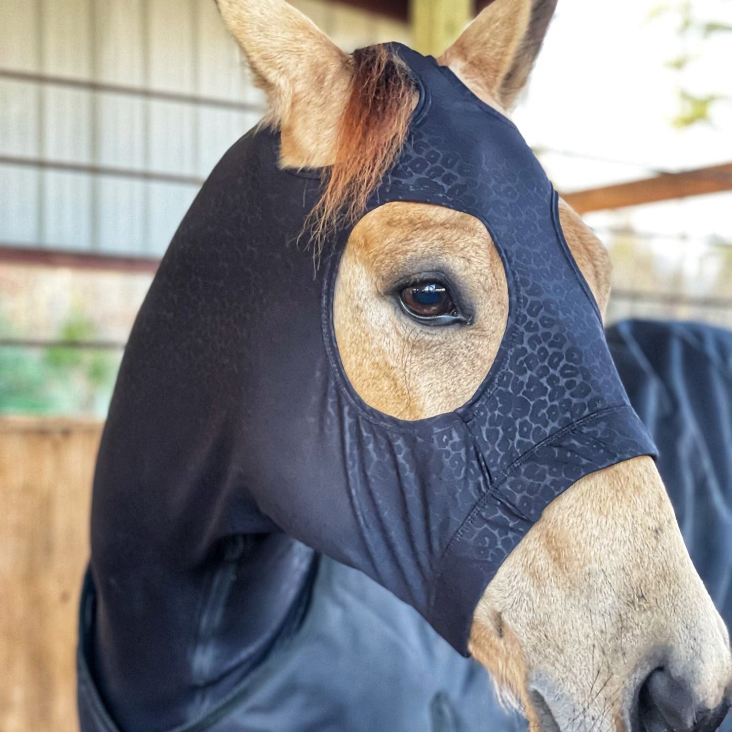 Embossed Black Leopard Sleazy Hood from www.slickhorseware.com