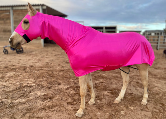 Metallic Hot Pink Full Body Sleazy