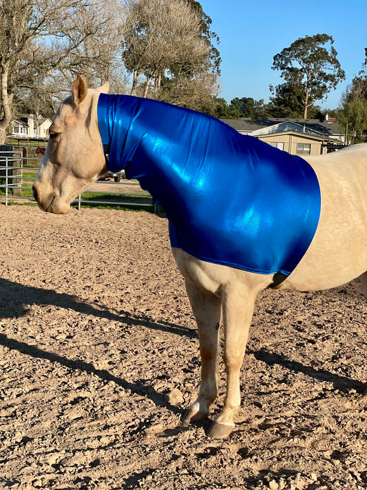 Metallic Royal Blue Faceless Hood Sleazy