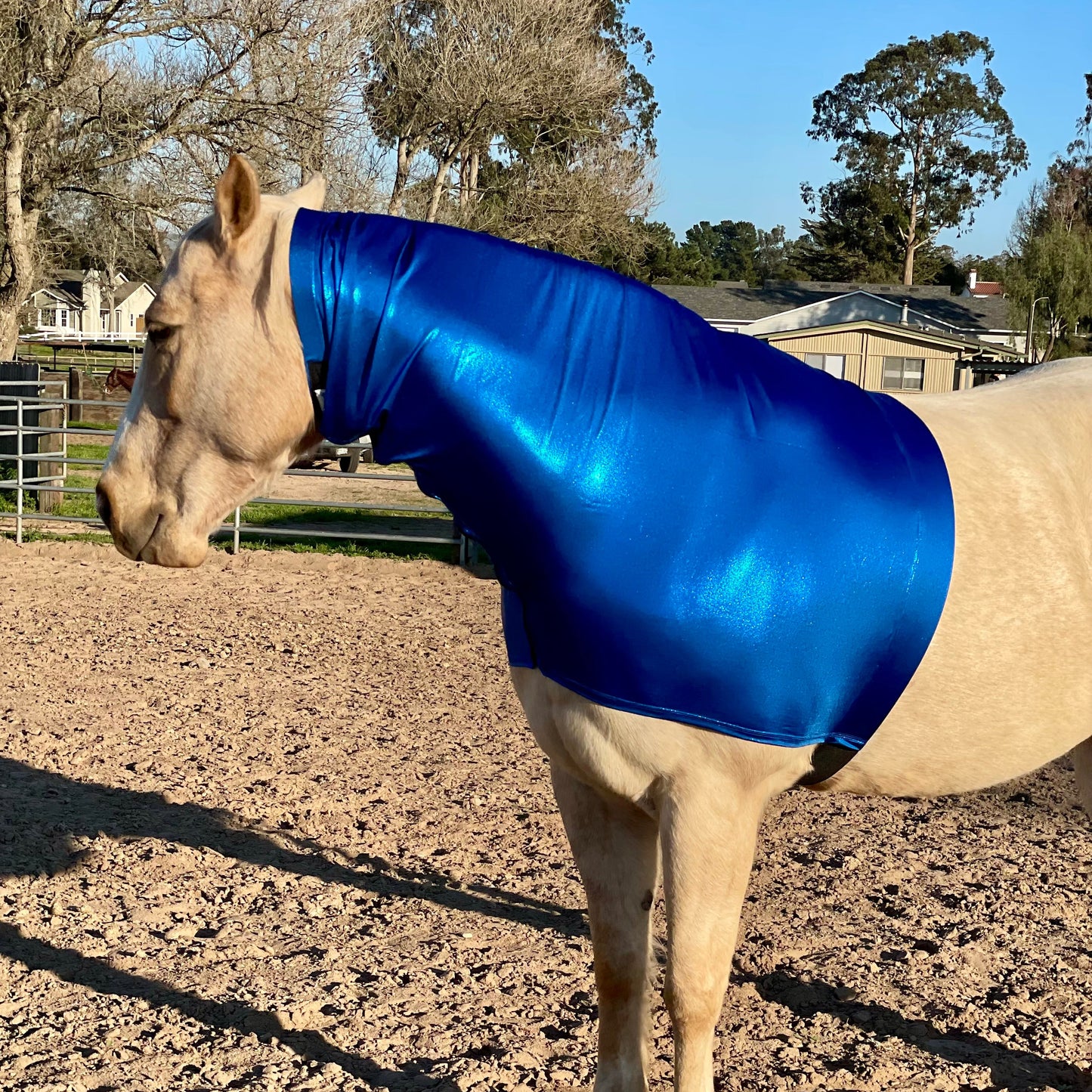 Metallic royal blue faceless hood by slickhorseware.com