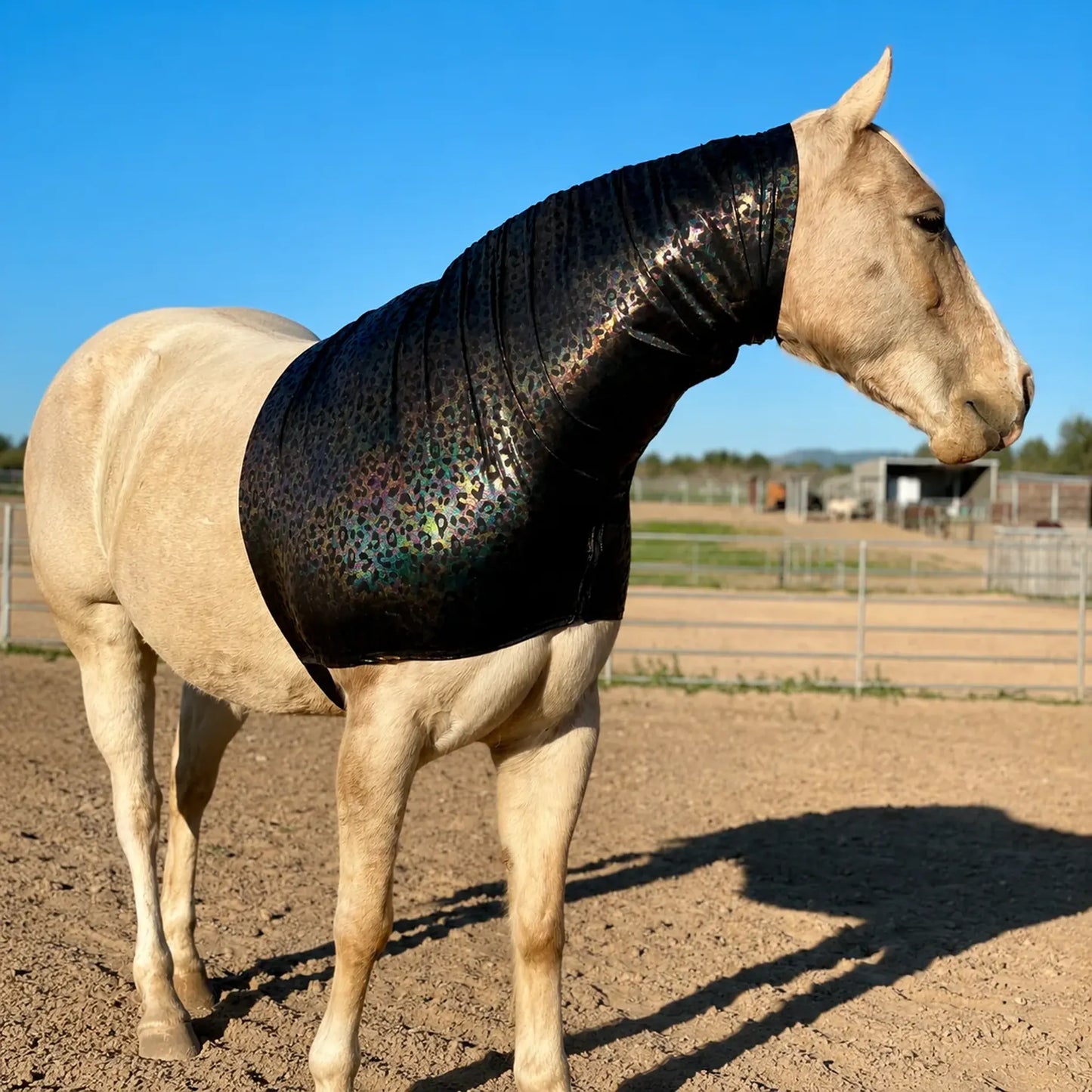Horse wearing a hologram leopard faceless hood sleazy in an outdoor setting