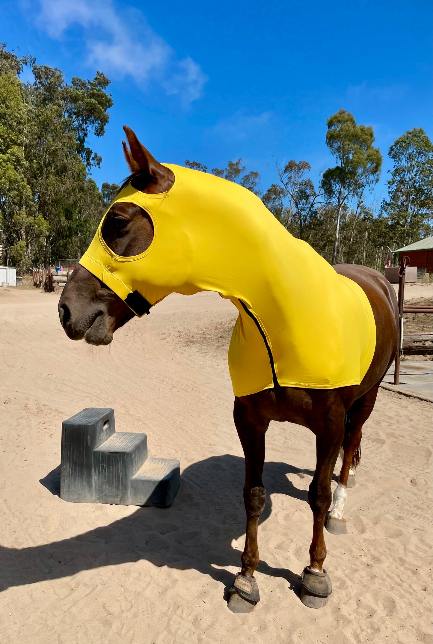 Yellow Sleazy Hood