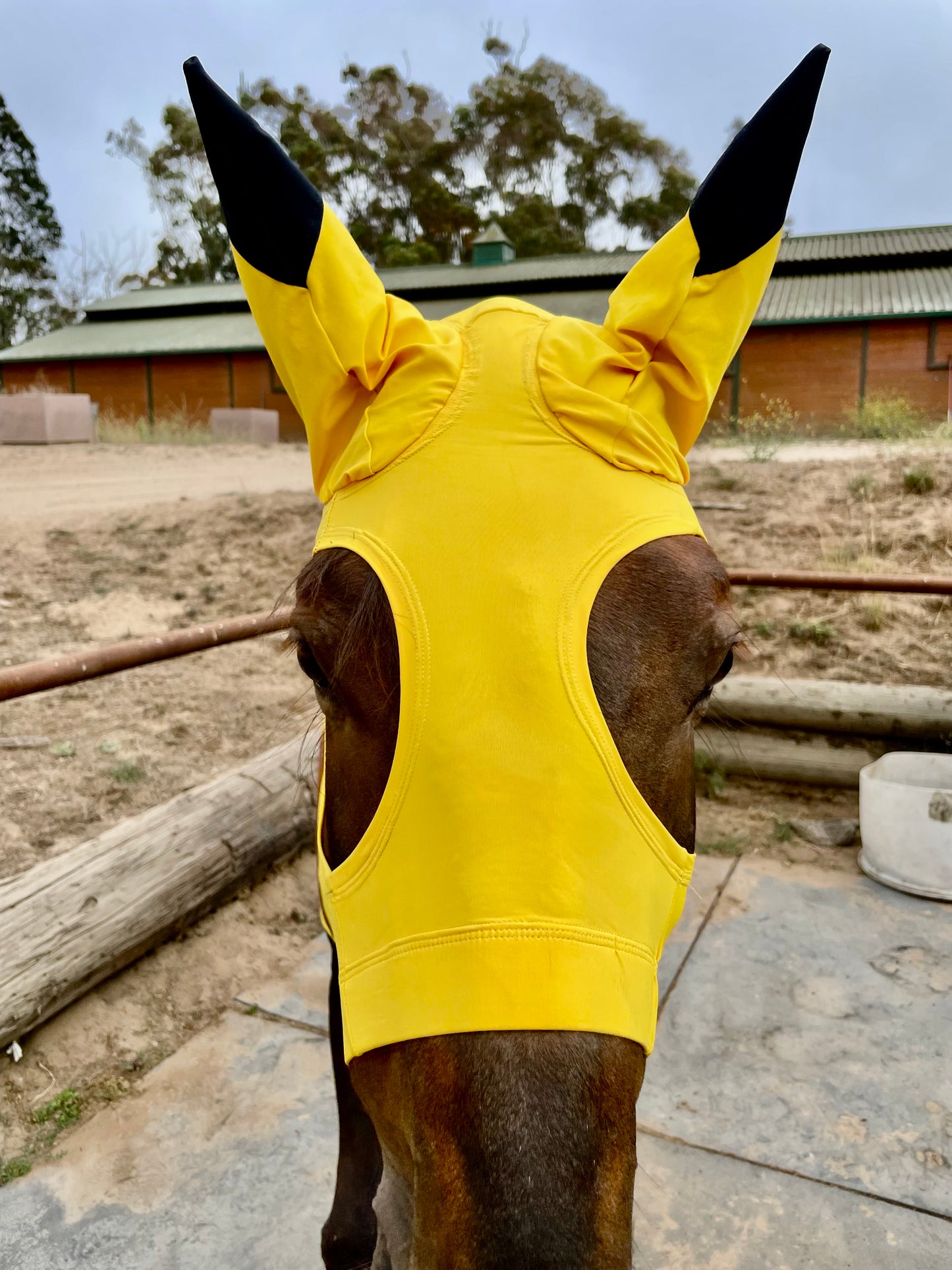 Pikachu Horse Costume
