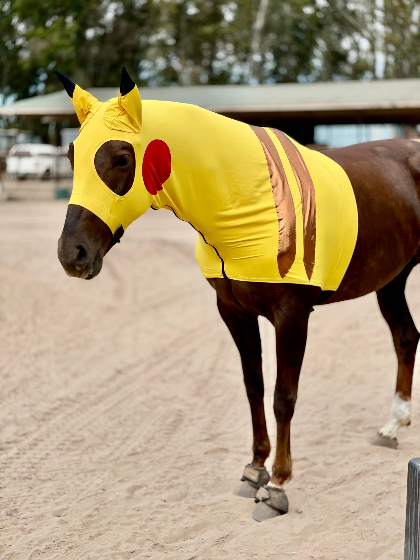 Pikachu Horse Costume