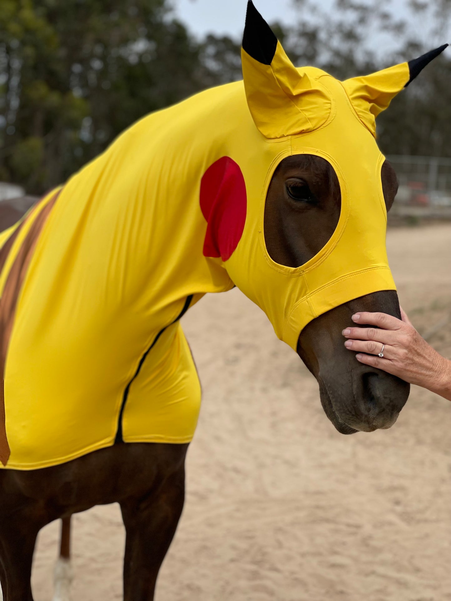 Pikachu Horse Costume