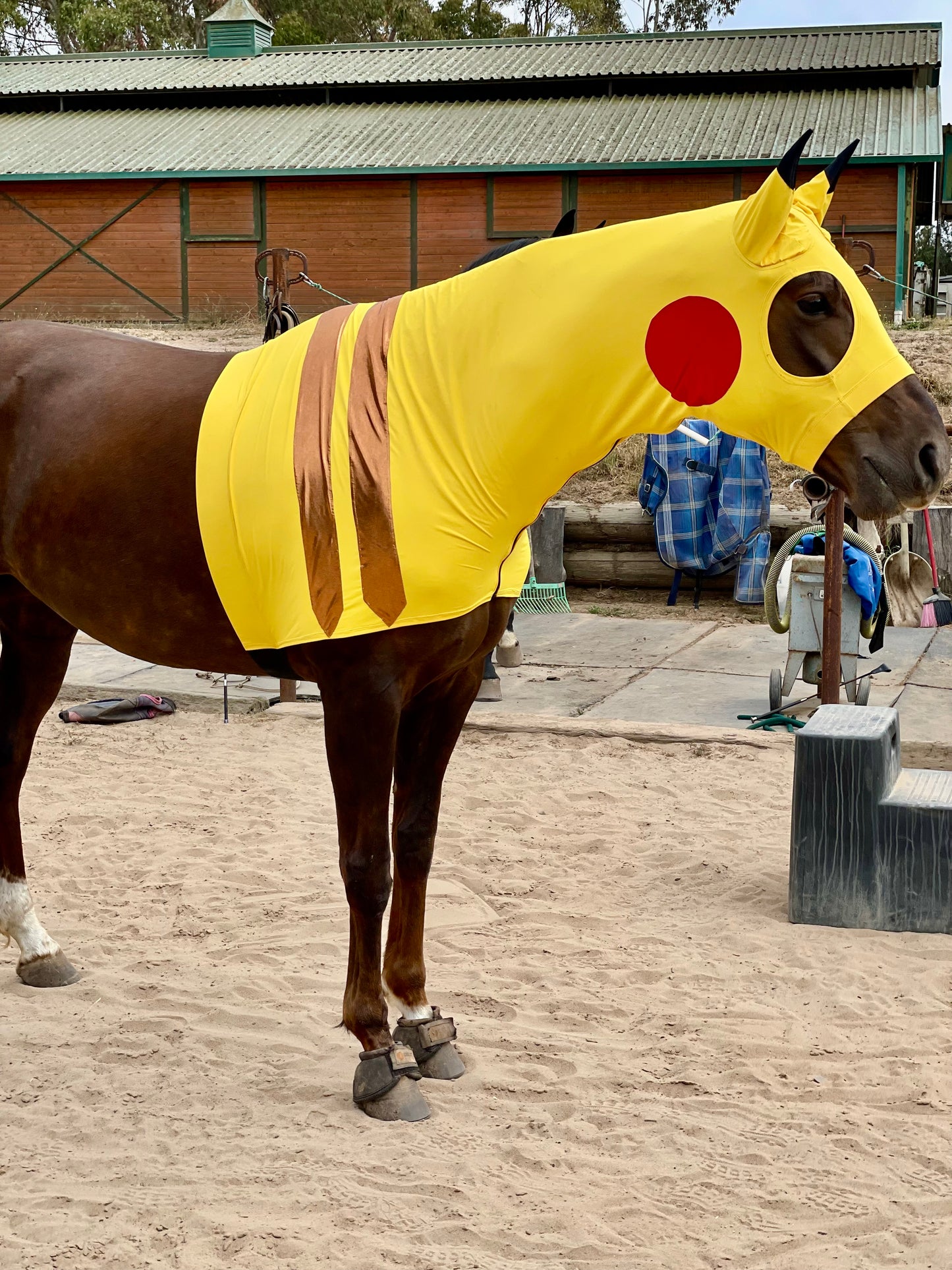 Pikachu Horse Costume