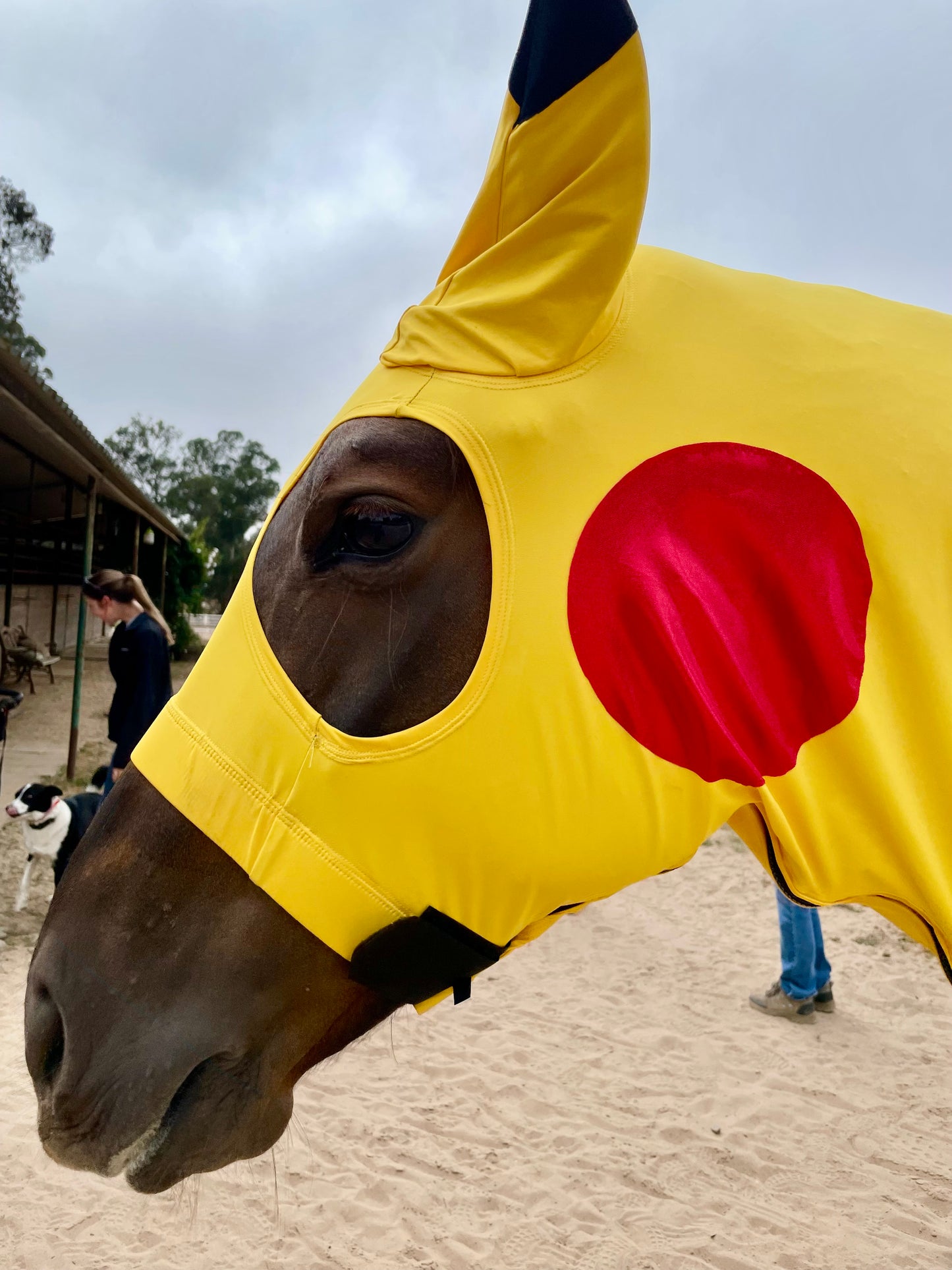 Pikachu Horse Costume