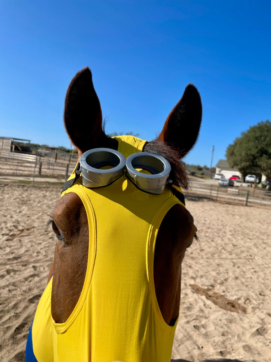 Minions Horse Costume