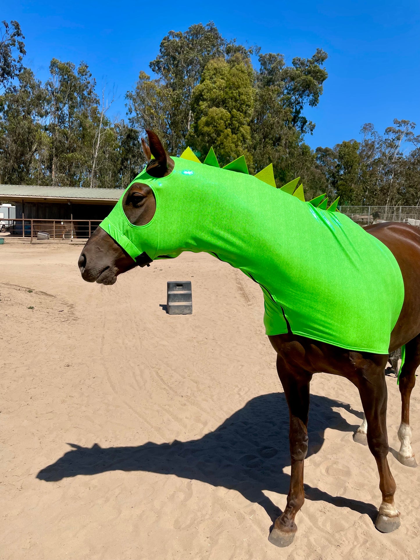 Green Dragon Horse Costume with Matching Dragon Tail