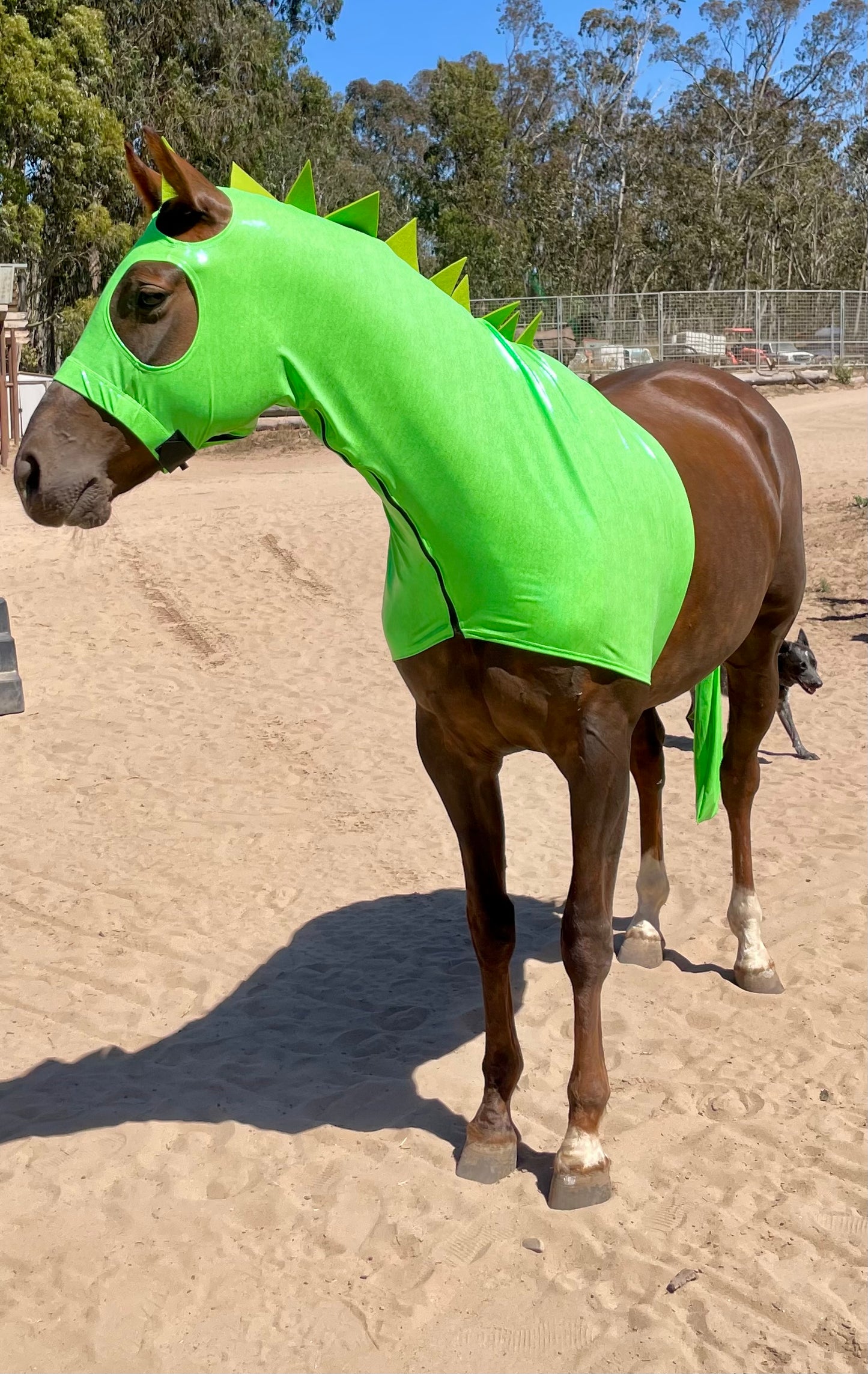 Green Dragon Horse Costume with Matching Dragon Tail
